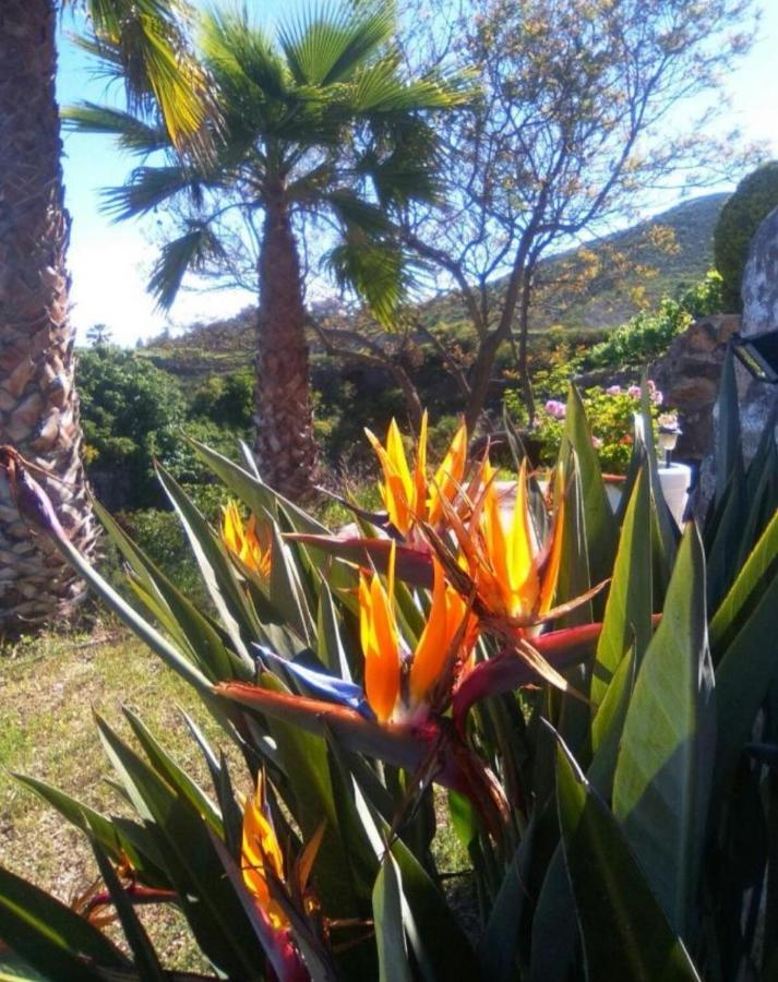 La Casita Ma Petite Folie Tenerife Santa Cruz de Tenerife Zewnętrze zdjęcie
