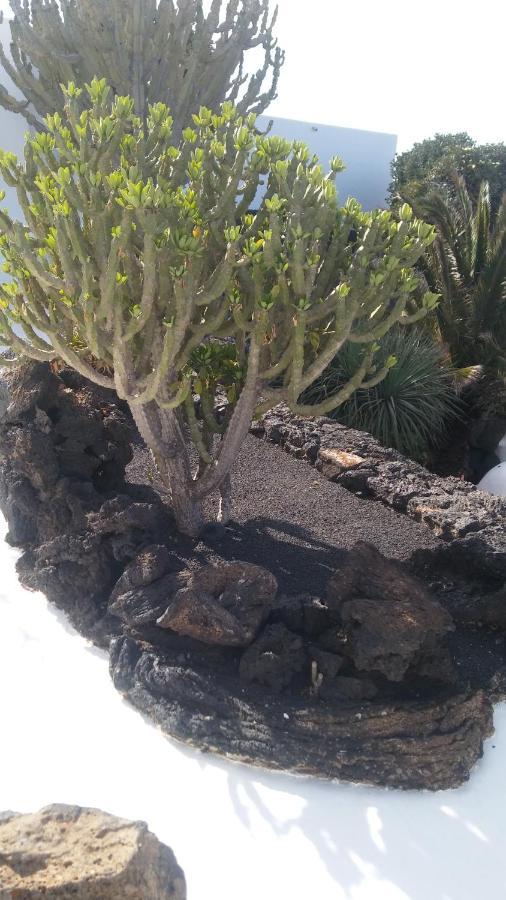 La Casita Ma Petite Folie Tenerife Santa Cruz de Tenerife Zewnętrze zdjęcie